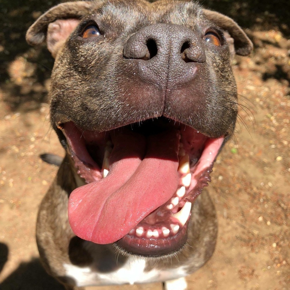 Meet your Posher, Valina